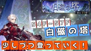 白磁の塔54F～57F【FFBE幻影戦争】