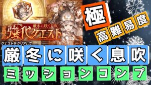 【FFBE幻影戦争】極高難易度 厳冬に咲く花 ミッションコンプ!