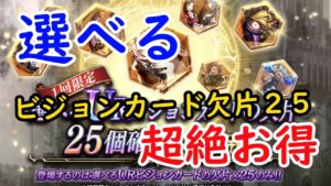 【FFBE幻影戦争】選べるURビジョンカードの欠片25個確定10連召喚を回します!!超絶お得!!