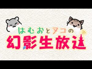 【FFBE幻影戦争】2周年記念!!はむおとヌコの幻影生放送【WOTV】