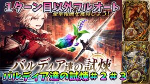 【FFBE幻影戦争】1ターン目以外フルオート&初期ビジョンカードで簡単攻略バルディア達の試煉#2#3【WAR OF THE VISIONS】