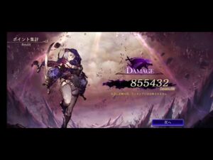 【FFBE幻影戦争】【ギルドレイド】カネシロ　闇パ85万　