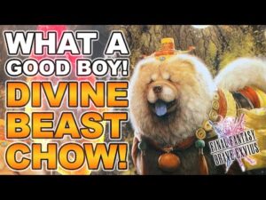 How to Use Divine Beast Chow! | Final Fantasy Brave Exvius - Unit Reviews, Guide, Rotations