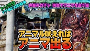 【FFBE幻影戦争】神頼みガチャ 現地でアニマを追う編