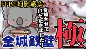 【FFBE幻影戦争】金城鉄壁極 編成紹介