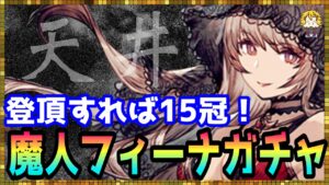 #315【幻影戦争】ライブではなくて動画にしてみたらパーティー始まった【FFBE幻影戦争】