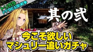 【FFBE幻影戦争】神頼みガチャ マシュリー編 追いガチャ其の弐
