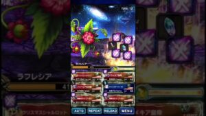 FFBE ラフレシア上級　15ターン撃破　細かい所はお許しください…