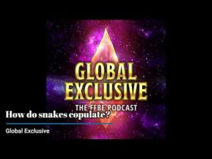 How do snakes copulate? - Wednesday Newsday[FFBE]