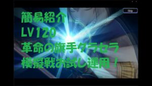 【FFBE】【幻影戦争】簡易紹介:LV120革命の旗手グラセラ、模擬戦でお試し運用【WOTV_FFBE】【WAR OF THE VISIONS】