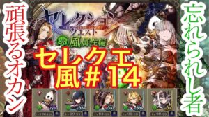 【FFBE幻影戦争】セレクエ風＃14を攻略した件