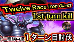 【FFBE】十二種族　鉄巨人中級1ターン目討伐[FFBE Global] Twelve Race Subjugation Battle Iron Giant Intermediate 1st Turn