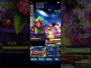 FFBE 十二種族 大王花 5人全解