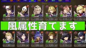 【FFBE幻影戦争】僕が風属性を育てようと思った理由【wotv】