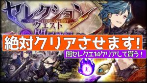 【FFBE幻影戦争】リアタイメンバーに闇セレクエ14クリアさせてみた【wotv】