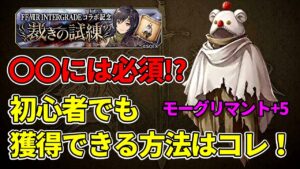 【裁きの試練】〇〇には必須!? モーグリマント+5は取るべきなのか? 初心者にオススメ方法解説!【FFBE幻影戦争 WOTV】