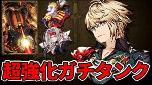 【範囲耐性100】レインがガチタンクに生まれ変わりました【FFBE幻影戦争 WOTV】
