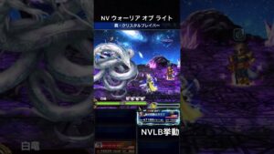 【FFBE】NVウォーリア オブ ライト（SLB）NVLB挙動