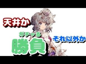白妙のアライア全力ガチャ!!!こりゃあ強すぎる!!#ffbe幻影戦争 #ff #幻影戦争 #白妙のアライア#ガチャ