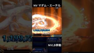 【FFBE】(再アップ旧ver) NVマダム・エーテル(BS)NVLB挙動