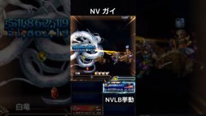 【FFBE】(再アップ旧ver)NVガイ(元星3NV覚醒ver)(SLB)NVLB挙動