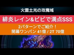【FFBE】火雷土光の攻魔域『ダークビジョンズ2024/1』緋炎レイン+ビビで、2パターンの満点攻略をご紹介(1T 41億 / 2T 70億)※概要欄にDVs評価ポイントの仕組みの記載有り