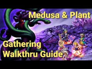 FFBE | Depths of Chaos- Medusa & Gaokerena - Gathering Party Missions