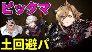 【ピックマ】土回避＆氷で行くピックマ。vs大剣、雷、魔法【FFBE幻影戦争 WOTV】