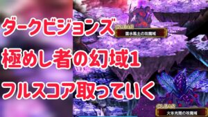 ダークビジョンズ極めし者の幻域1 インフレパーティーでSSS取っていく #ffbe